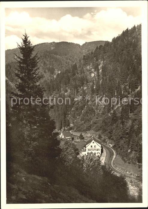 Gremmelsbach Gasthaus Pension Forelle