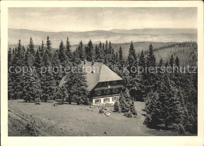 Feldberg Schwarzwald Naturfreundehaus Feldberg