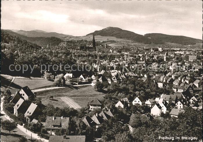 Freiburg Breisgau Totalansicht Muenster