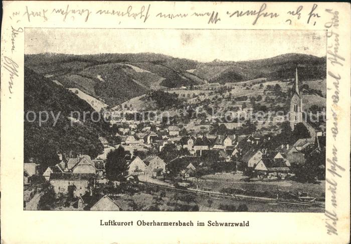 Oberharmersbach Totalansicht
