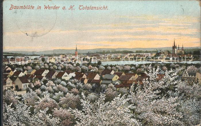 Werder Havel Baumbluete Panorama