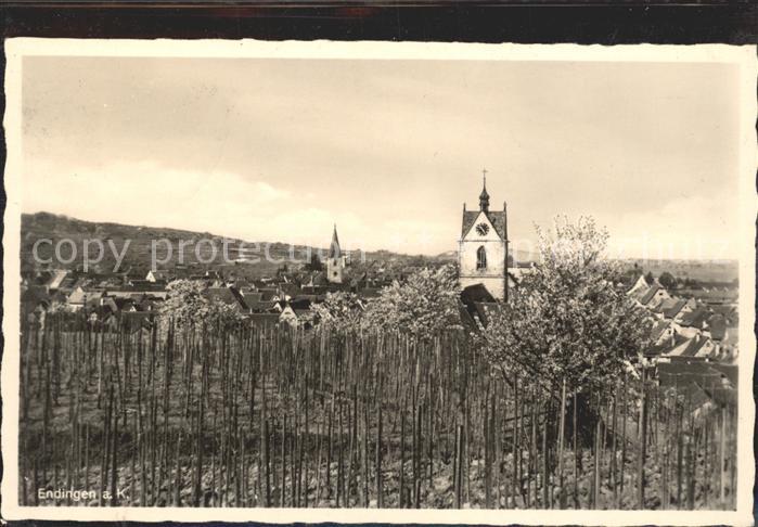 Endingen Kaiserstuhl Panorama Kirche Reben