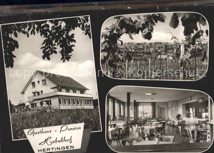 Hertingen Bad Bellingen Gasthaus Pension Hebelhof Gastraum