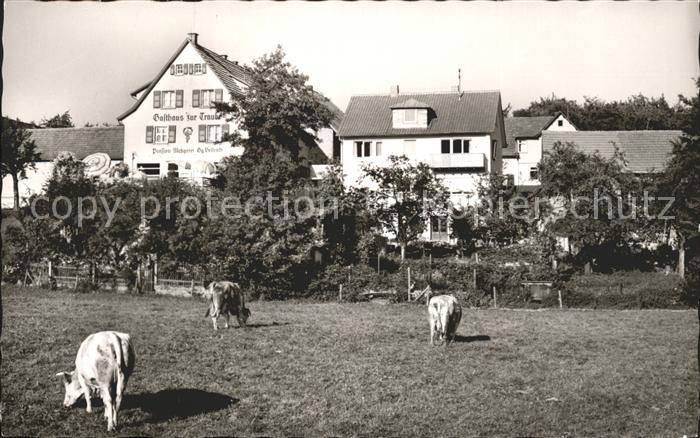 Winterkasten Lindenfels Gasthaus-Pension zur Traube
