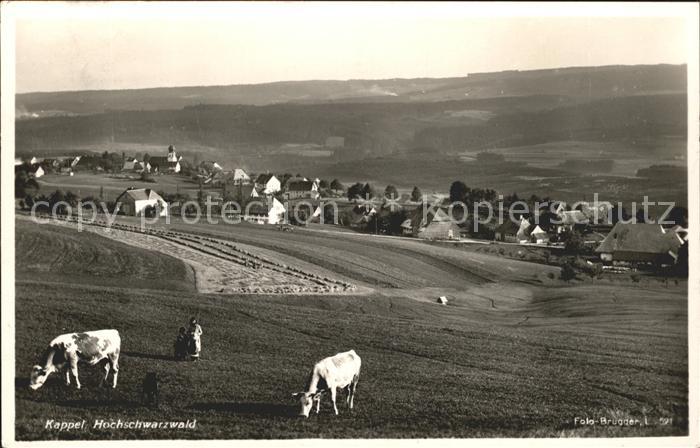 Kappel Lenzkirch Kuehe Weide