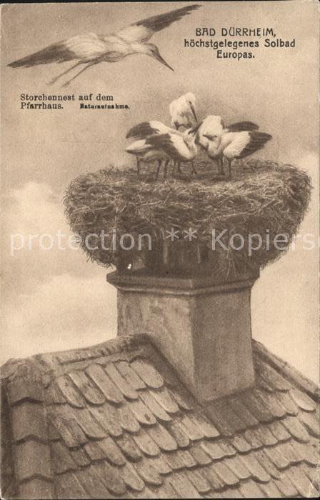 Bad Duerrheim Storchennest Pfarrhaus