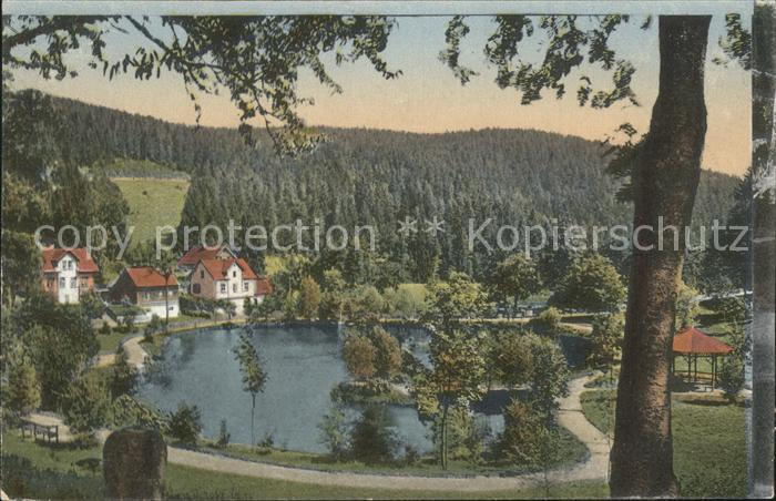 Triberg Schwarzwald Bergsee