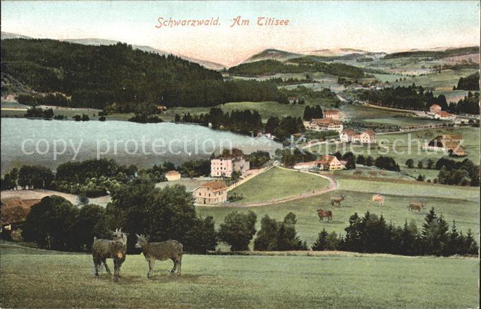 TITISEE Schwarzwald BW