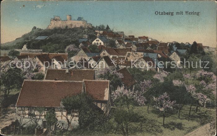 Otzberg Odenwald Hering