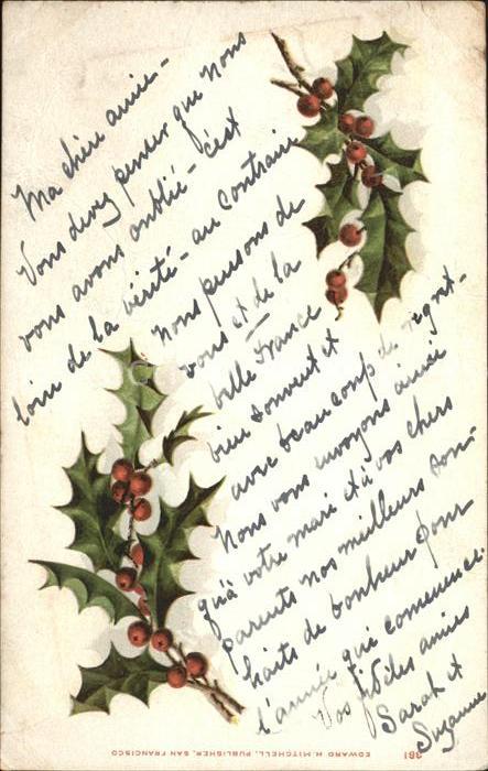 Weihnachten Stechpalme