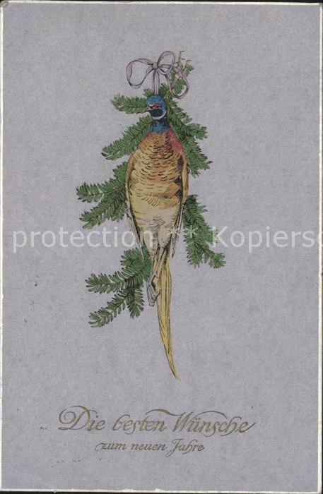 Voegel Birds Oiseaux Uccelli Pajaros-- Fasan Glueckwunsch Neujahr