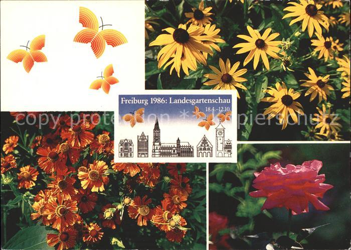 Landesgartenschau Freiburg im Breisgau Blumen
