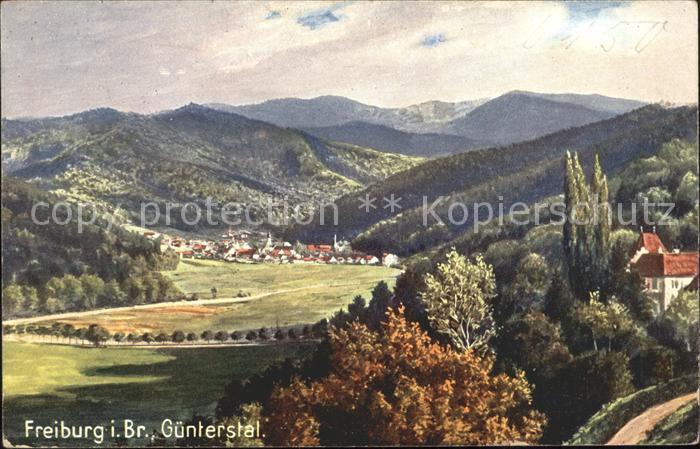 Verlag Wiedemann WIRO Nr. 1987 B Freiburg im Breisgau Guenterstal