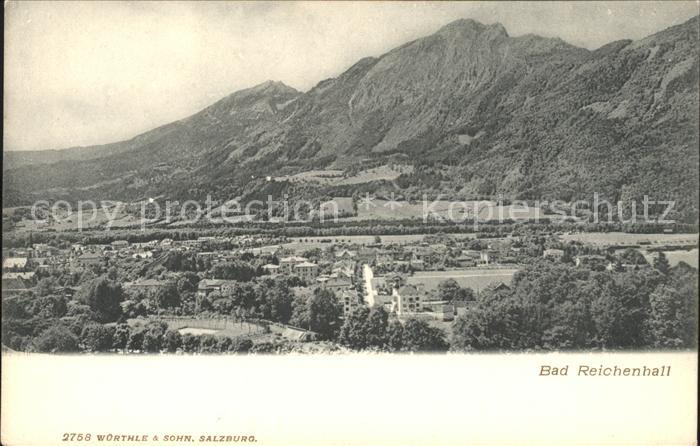 Bad Reichenhall Panorama Alpen