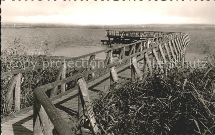 Bad Buchau Federsee Landungssteg