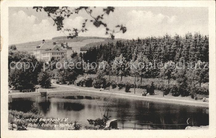 Brambach Bad Hotel Radium Kurhof Radiumbad