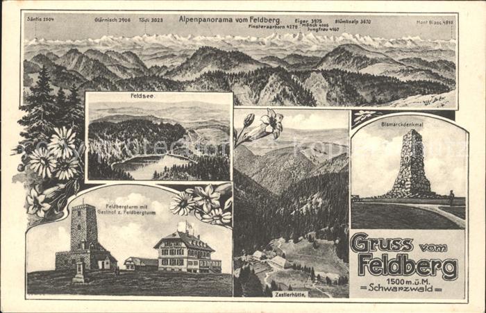 Feldberg Schwarzwald Alpenpanorama Feldsee Feldbergturm Gasthaus Bismarckdenkmal