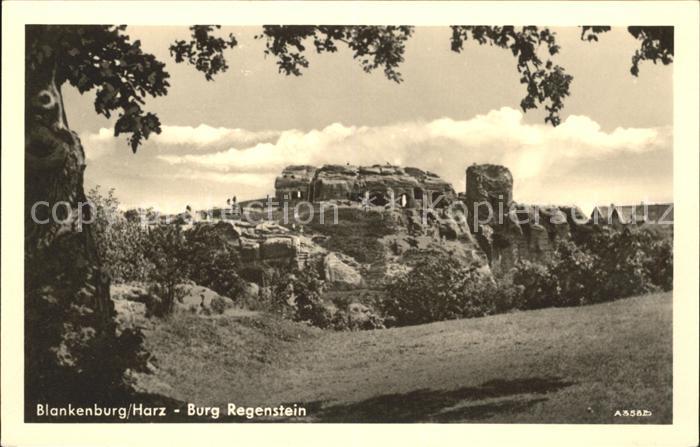 Blankenburg Harz Burg Regenstein Ruine