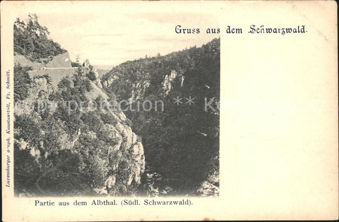 Albtal St Blasien Blick in die Klamm Schwarzwald
