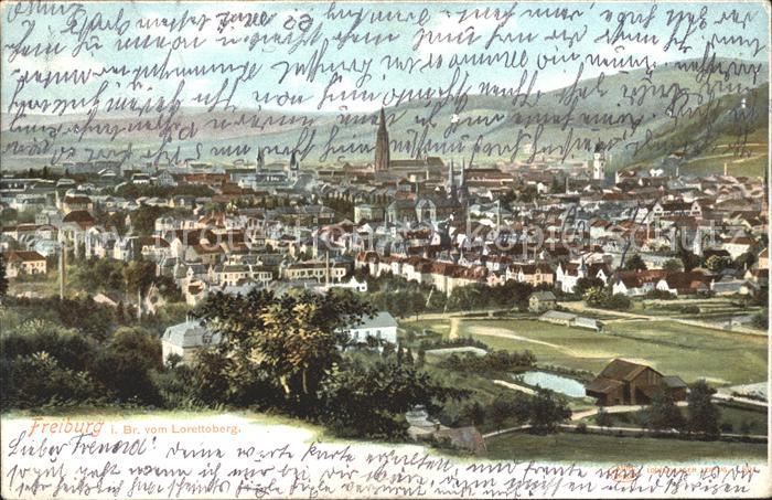 Freiburg Breisgau Panorama Blick vom Lorettoberg Muenster