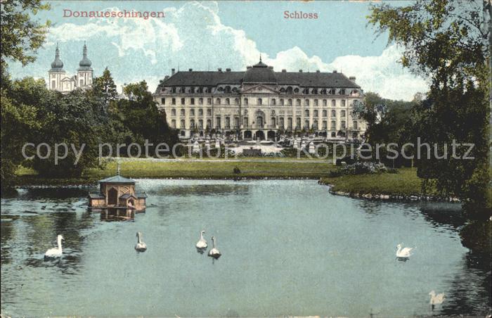 Donaueschingen Schloss Schwanenteich