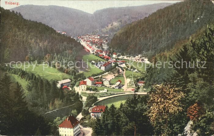 Triberg Schwarzwald Panorama