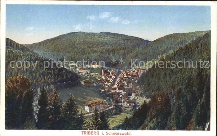Triberg Schwarzwald Panorama