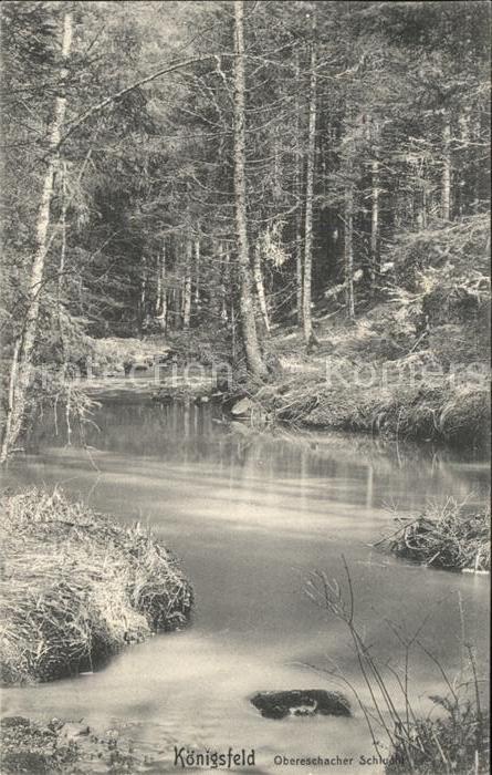 Koenigsfeld Schwarzwald Obereschacher Schlucht