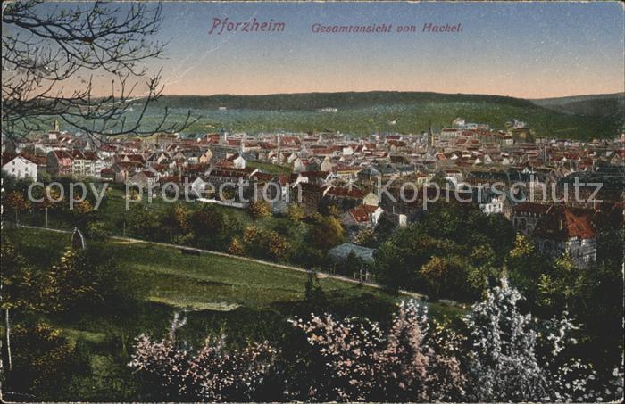 Pforzheim Gesamtansicht von Hackel Baumbluete