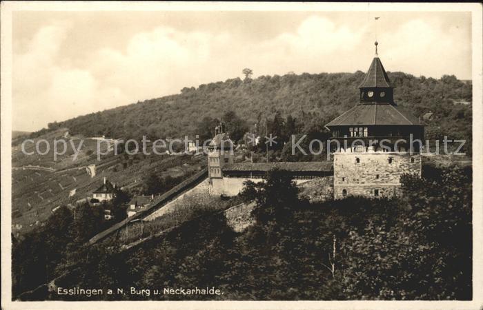 Esslingen Neckar Burg und Neckarhalde