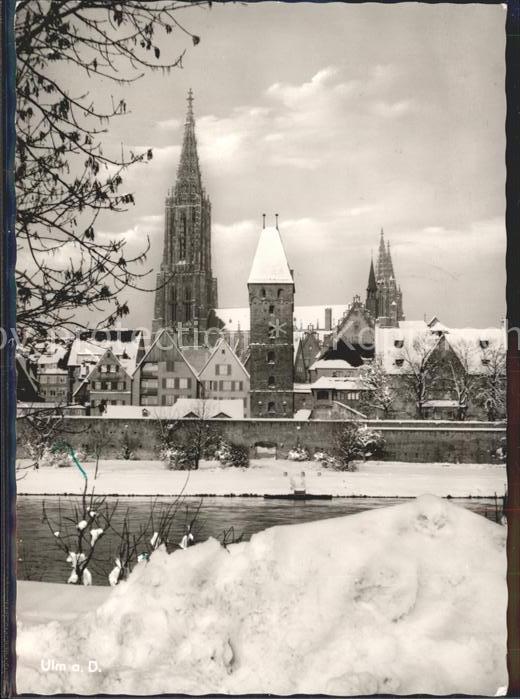 Ulm Donau Partie an der Donau im Winter Muenster