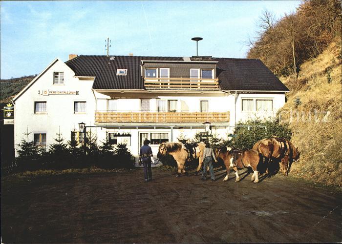 Obliers Gasthaus Pension Talesruh Pferde