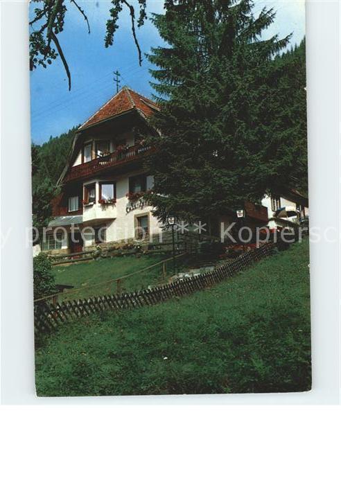 Menzenschwand Cafe Pension Haus Hubertus