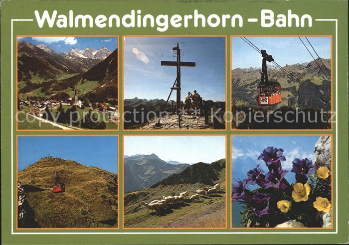Seilbahn Walmendingerhorn Mittelberg Enzian Schafe