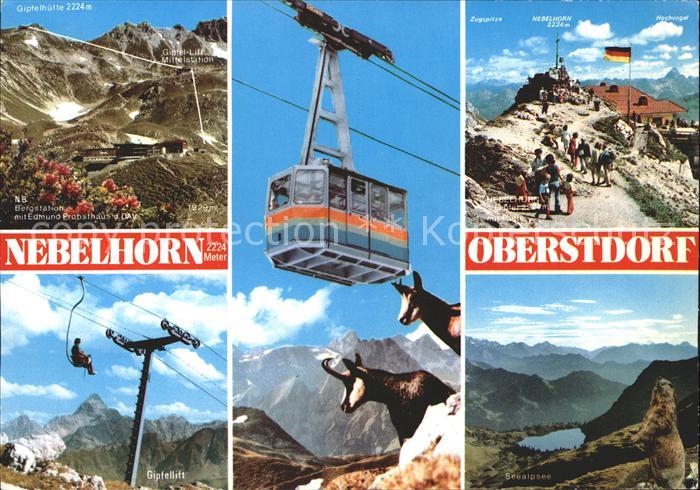 Seilbahn Nebelhorn Oberstdorf Gemse Murmeltier