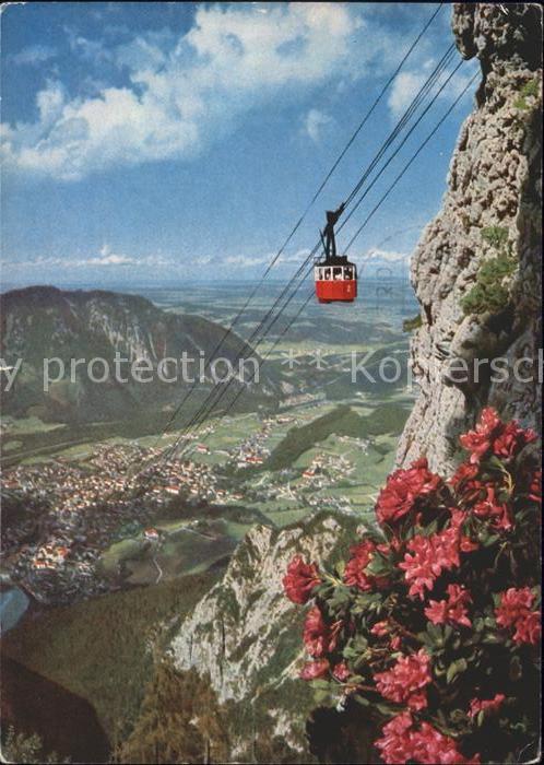 Seilbahn Predigtstuhl Bad Reichenhall Alpenrosen