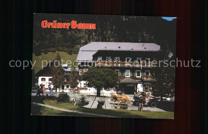 Badgastein Hoteldorf Gruener Baum