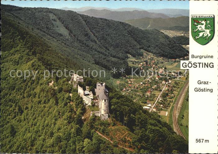 Goesting Burgruine Fliegeraufnahme