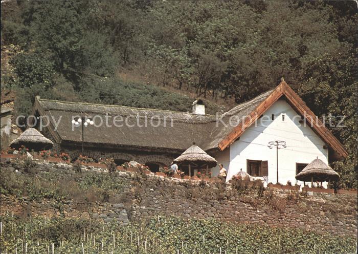 Badacsony Haus Kisfaludy