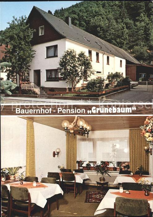 Sundern Sauerland Bauernhof Pension Gruenebaum