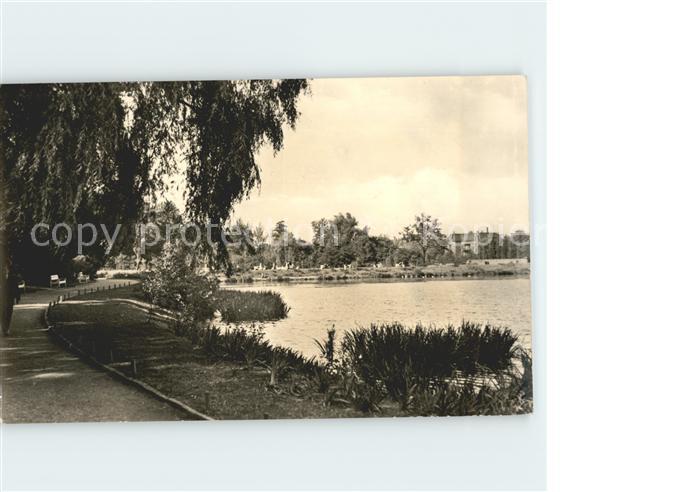 Zwickau Sachsen Schwanenteich