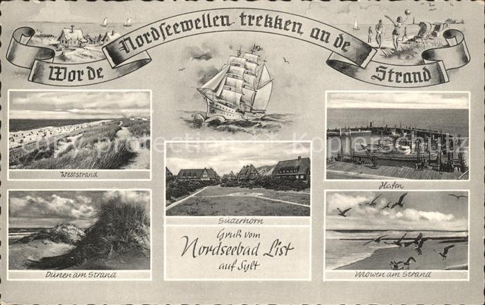 List Sylt Suederhoern Hafen Moewen Strand