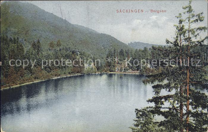 Saeckingen Rhein Bergsee