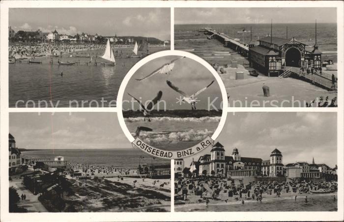 Binz Ruegen Strand Moewen