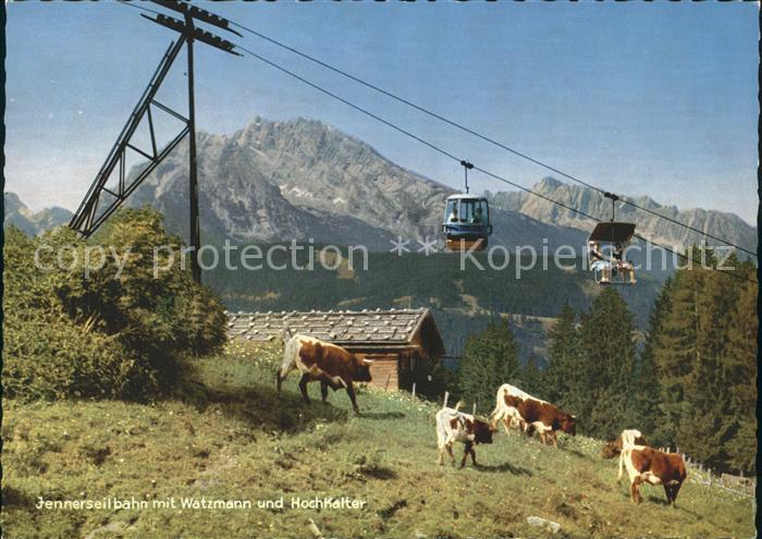 Seilbahn Jenner Watzmann Hochkalter Kuehe
