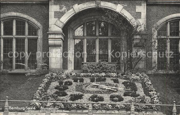 Bernburg Saale Blumenuhr