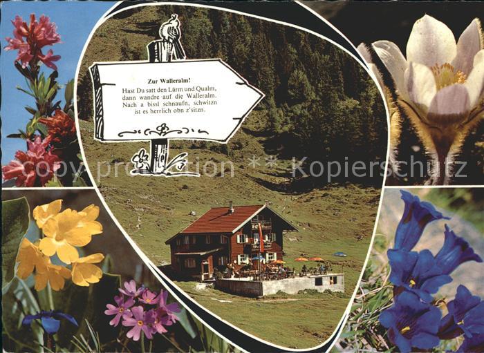 Wilder Kaiser Alpengasthof Walleralm