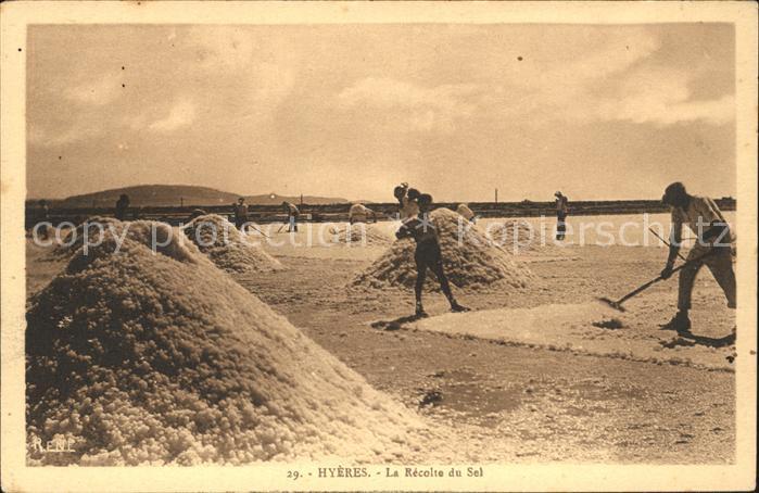Hyeres Recolte du Sel
