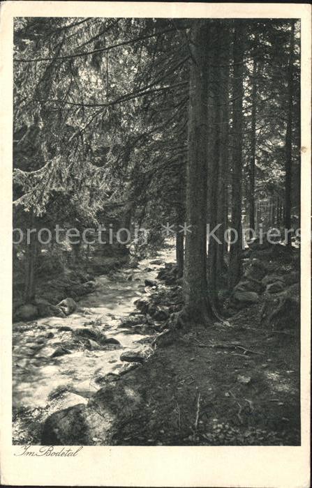 Schierke Harz Waldpartie im Bodetal