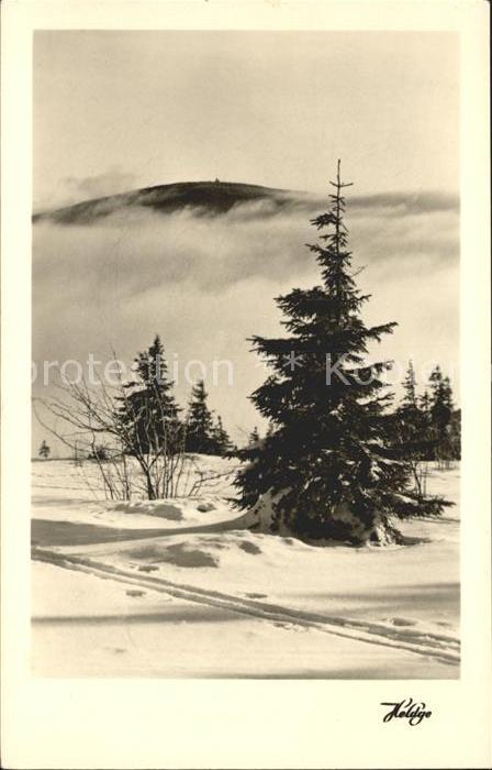 Koethen Anhalt Landschaft Winterpanorama